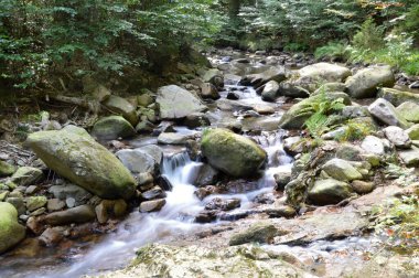 Sonbaharda Harz Dağları 'ndaki Ilse Nehri' nde manzara, Saksonya. Anhalt