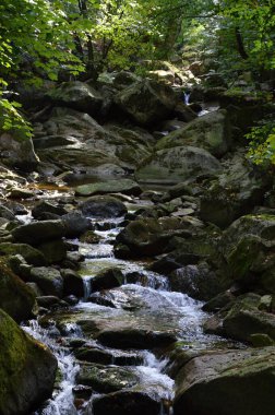 Sonbaharda Harz Dağları 'ndaki Ilse Nehri' nde manzara, Saksonya. Anhalt