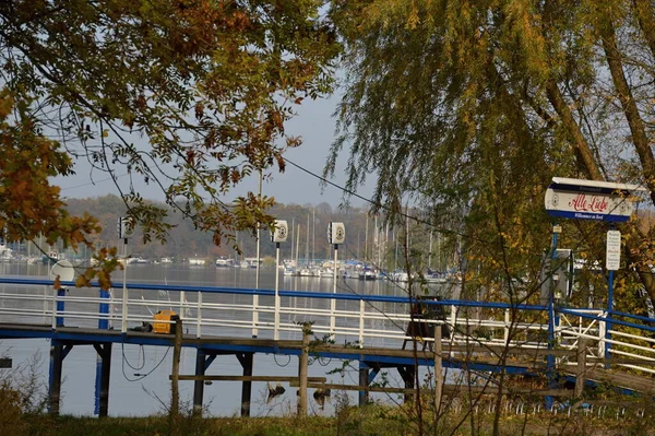 Marina Vid Floden Havel Hösten Skogen Ggunewald Berlin Huvudstad Tyskland — Stockfoto
