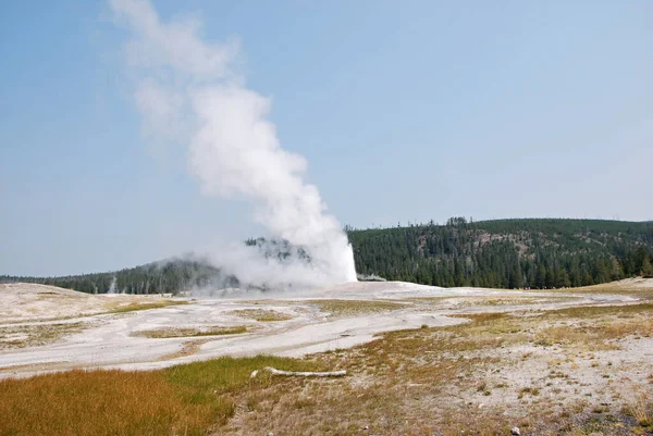 Stary Gejzer Wierny Parku Narodowym Yellowstone Wyoming — Zdjęcie stockowe