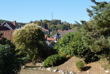 Sonbaharda Saksonya 'nın Harz Dağları' ndaki Eski Wernigerode Kasabasının Panoraması
