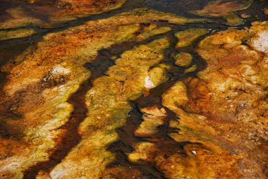 Hydrothermal Landscape in Yellowstone National Park, Wyoming