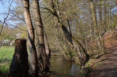 Baharda manzara Fulde Nehri Vadisi, Walsrode, Aşağı Saksonya