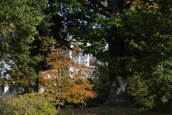 德国首都柏林Zehlendorf Wannsee湖秋天的别墅 — 图库照片