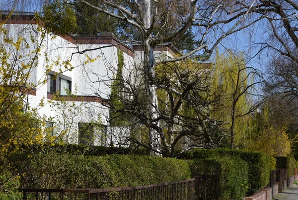 stock image Park in Spring in the Neighborhood Dahlem, Zehlendorf in Berlin, the Capital City of Germany