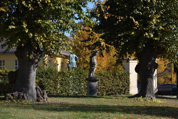 Château Parc Rheinsberg Automne Brandebourg — Photo