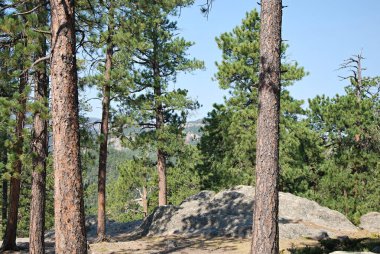 Güney Dakota, Black Hills 'deki Dağ Manzarası