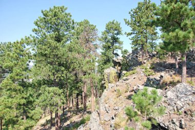 Güney Dakota, Black Hills 'deki manzara