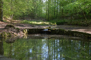 Bahar aylarında Bohlenbach Vadisi 'nde manzara, Walsrode, Aşağı Saksonya