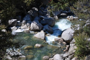 Montana 'daki Beartooth Dağları' nda akarsu