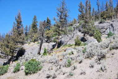 Panorama Landscape in the Beartooth Mountains, Montana