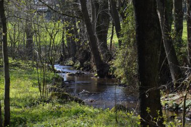 Baharda manzara Fulde Nehri Vadisi, Walsrode, Aşağı Saksonya