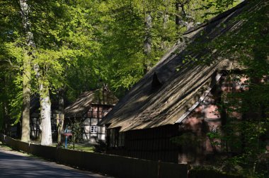 Walsrode İlkbaharı, Aşağı Saksonya