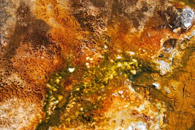 Hydrothermal Color in Yellowstone National Park, Wyoming