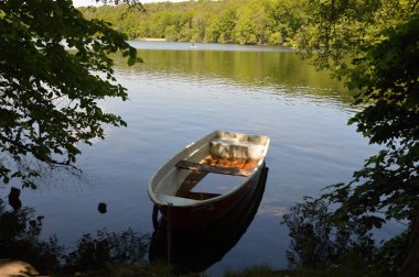 Rowing Boat on the Lake Schlachtensee, Zehlendorf in Berlin, the Capital City of Germany