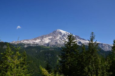 Panorama of Mount Rainier National Park, Washington