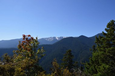 Panorama Mountain Landscape in Olympic National Park, Washington