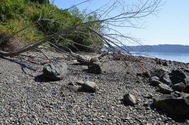 Stony Beach on the Olympic Peninsula, Washington