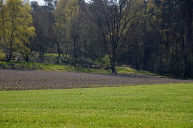 Baharda manzara Fulde Nehri Vadisi, Walsrode, Aşağı Saksonya