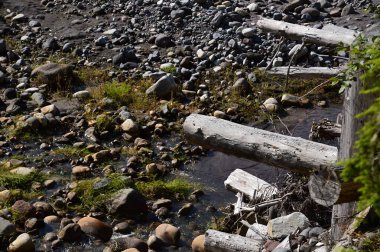 Stream in Mount Rainier National Park, Washington