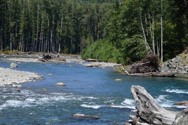 Elwha River in Olympica National Park, Washington