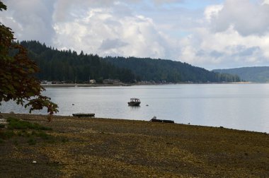 Beach on the Olympic Peninsula, Washington