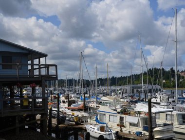Marina, Washington 'un başkenti Olympia' daki Puget Sound 'da.