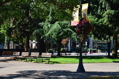 Street Scene in Downtown Eugene, Oregon