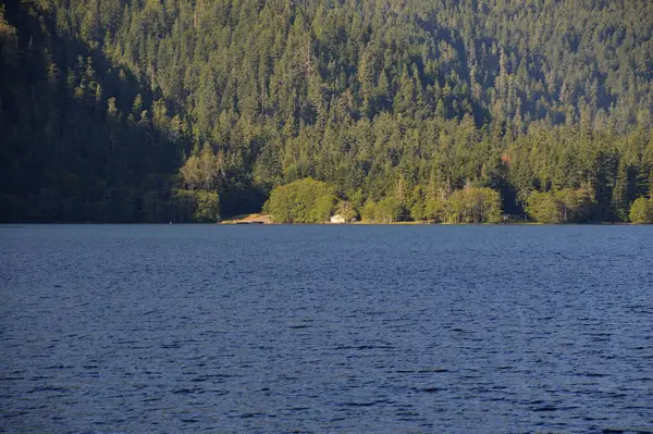 Lake Crescent Parque Nacional Olímpico Washington — Fotografia de Stock