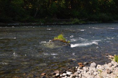 Landscape at the Umpqua River in the Cascade Range, Oregon