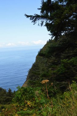 Pasifik Sahili, Oregon Panorama Peyzajı