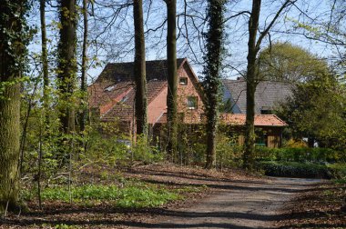 Walsrode İlkbaharı, Aşağı Saksonya