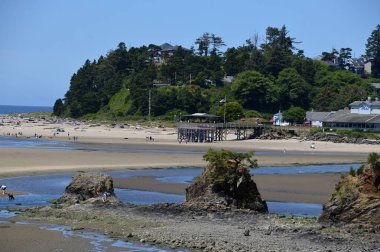 Pasifik Sahili, Oregon Panorama Sahili