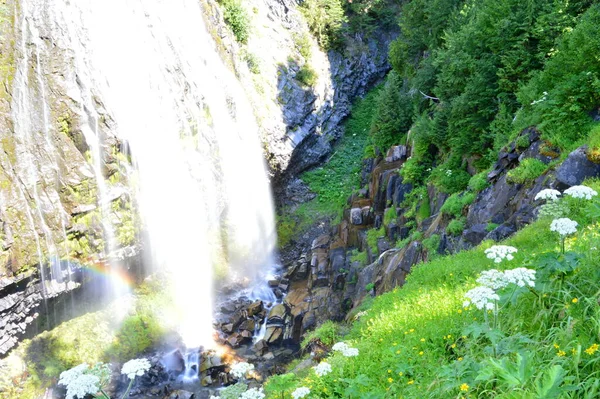 Waterfall Mount Rainier National Park Washington — ストック写真