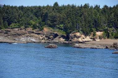 Panorama at the Pacific Coast, Oregon
