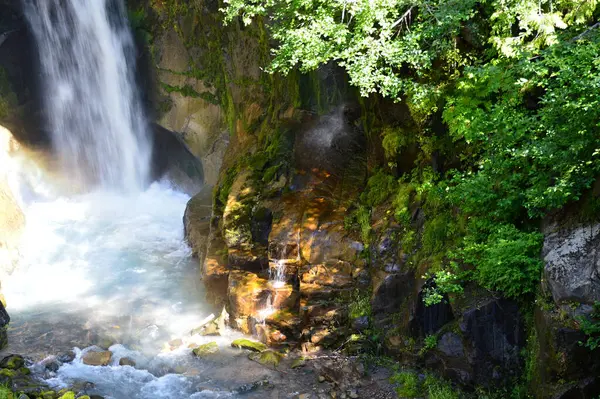 Waterfall Mount Rainier National Park Washington — Foto Stock