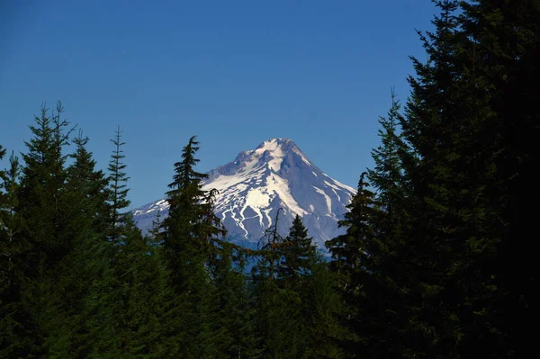 Panorama Mount Hood Volcano Cascade Range Oregon — Stock Photo, Image