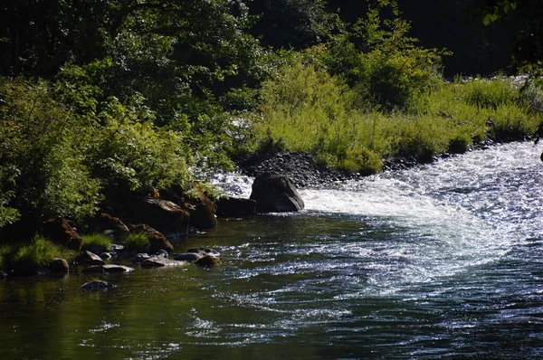 Umpqua River Cascade Range Oregon — Stockfoto