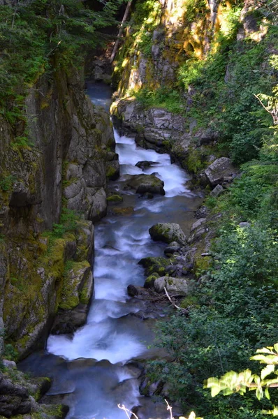 Waterfall Mount Rainier National Park Washington — Stok fotoğraf