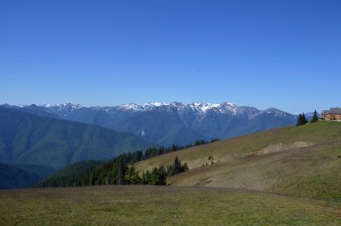 Washington Olimpiyat Ulusal Parkı 'ndaki Kasırga Sırtı