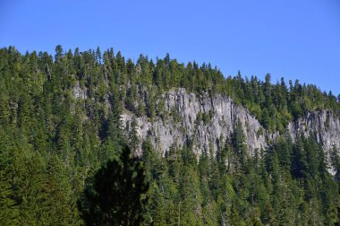 Manzara Rainier Dağı Milli Parkı, Washington