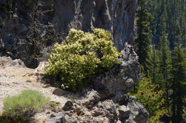 krater Gölü Milli Parkı, oregon manzara