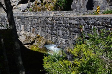 Mount Rainier Ulusal Parkı, Washington Köprüsü