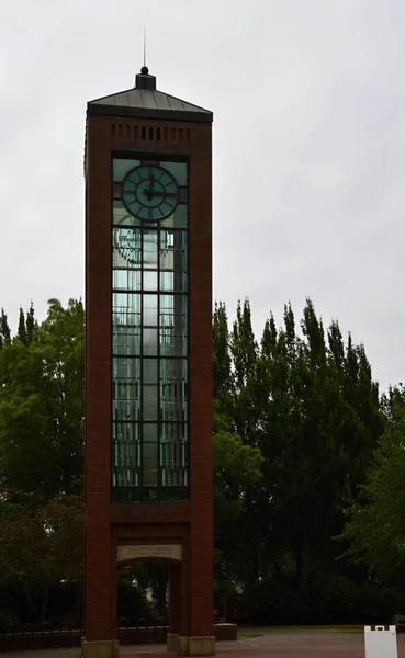 Часовая Башня Университета Уилламетт Салеме Столице Штата Орегон — стоковое фото