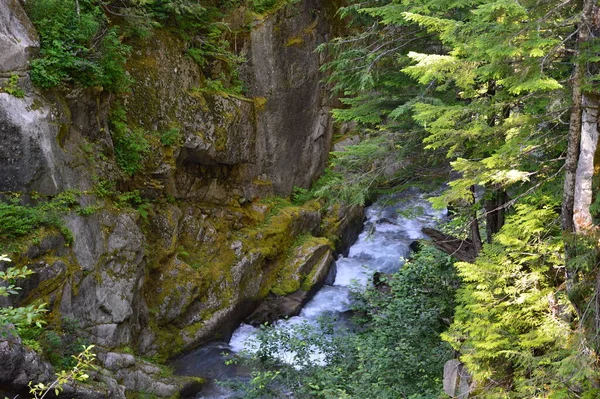 Waterfall Mount Rainier National Park Washington — Stock fotografie