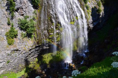 Waterfall in Mount Rainier National Park, Washington