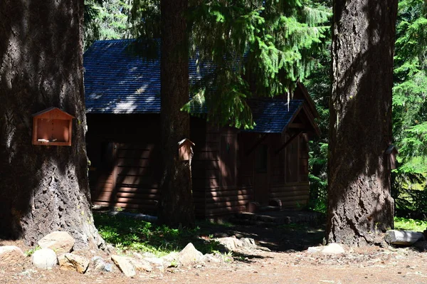 Hood Dağı 'ndaki kulübe, Oregon, Cascade Sıradağları' ndaki Volkan.