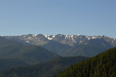Washington Olimpiyat Ulusal Parkı 'ndaki Kasırga Tepesi Panoraması