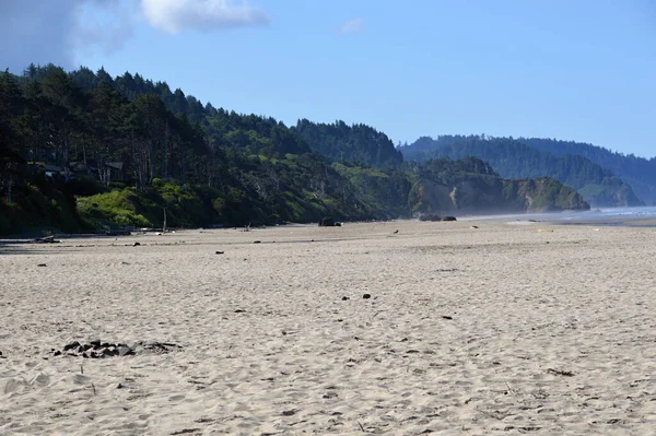 Panorama Beach Der Pazifikküste Oregon — Stockfoto