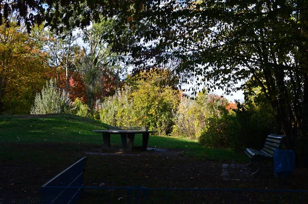 Парк Осенью Районе Шмаргендорф Берлине Столице Германии — стоковое фото